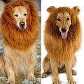 Großer Hund Kostüm Löwenmähne Perücke m/Ohren Haustier Halsumfang Kostümzu