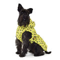 Fashion Dog Hunde Regenmantel mit Kapuze Hundemantel Regenschutz Regenjacke Hund