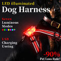 LED Hundegeschirr Atmungsaktiv Brustgeschirr USB LED-Beleuchtungsmodi Leuchtend