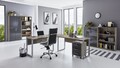 BMG Möbel Büromöbel Komplettset Office Edition Set 1 in verschiedenen Farben