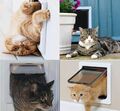Katzenklappe Katzentür Hundeklappe 4 Wege Magnet-Verschluss für Katzen Plastic