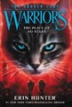 Warriors: The Broken Code #5: The Place of No Stars (Warriors: The Broken Code)