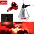 Wärmelampe für Tieraufzucht inkl. 250W Infrarotlampe & Schutzkorb Wärmestrahler