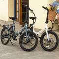 FAFREES 20 Zoll Klapprad e Bike Elektrofahrrad 250W Pedelec Faltrad Damenfahrrad