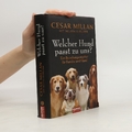 Welcher Hund passt zu uns?  |  Cesar Millan