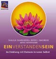 Einverstandensein