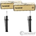 2X MONROE ÖLDRUCK STOßDÄMPFER HINTEN PASSEND FÜR AUDI 50 VW DERBY POLO