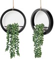 2 Pack Fake Plants Hanging Artificial Succulents Plants in Black Pots for Living