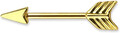Brustwarzen Piercing Nippelpiercing Brustpiercing Pfeil Arrow Straight Barbell