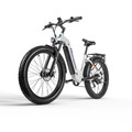 Damen Elektrofahrrad 26 Zoll Samsung 840Wh E Bike E-City Bike 25km/h Pedelec