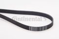 Keilrippenriemen Continental CTAM 6PK2260 für AUDI DODGE JEEP LEXUS MAZDA