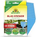 Neudorff Blau-Sticker Thripse fliegende Schädlinge Blautafeln Geruchlos 10 Stück