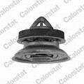 CALORSTAT by Vernet WF0077 Kühlmittelflansch für RENAULT SCÉNIC II (JM0/1)