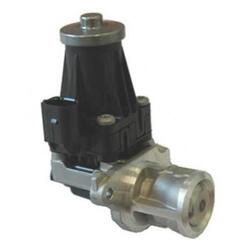 AGR-Ventil MAGNETI MARELLI 571822112072 für Opel Corsa D Astra J Caravan Fiat