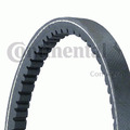 Keilriemen CONTINENTAL CTAM 11,0X528Ld für AUDI VW PASSAT A4 C4 B5 A6 C5 528 3B5