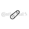 CONTINENTAL CTAM 6PK701 ELAST Keilrippenriemen für SEAT,SKODA,VW