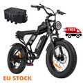 20 Zoll E BIKE MTB  Elektrofahrrad 1000W 48V 15Ah Offroad Mountainbike Fatbike