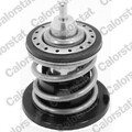 CALORSTAT by Vernet TH7265.80 Kühlwasserthermostat für VW POLO (AW1, BZ1) 80°C