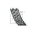 38247 Keilrippenriemen FEBI BILSTEIN geeignet für ALFA, AUDI, FORD, VW, SEAT