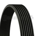 CONTINENTAL CTAM 7PK1715 Keilrippenriemen für ALFA ROMEO HONDA HYUNDAI KIA