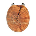 KLOBRILLE KLOSITZ TOILETTENBRILLE WC BRILLE SITZE MIT ABSENKAUTOMATIK OLD TREE