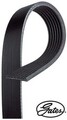 Gates 7PK1283 Keilrippenriemen Keilriemen für Honda für VW für Infiniti 