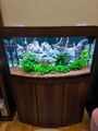 Juwel Vision Rio 180 l Aquarium komplett mit Unterschrank gebraucht in braun