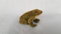 Alter Steiff  Frosch Samtfrosch mit Knopf