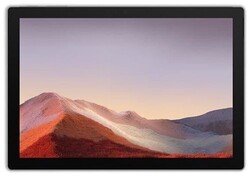 Microsoft Surface Pro 7 12.3 Zoll i5-1035G4 128GB platin - Zustand akzeptabelArtikel unterliegt Differenzbesteuerung nach §25a UstG