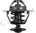 TH6319.82J CALORSTAT by Vernet Thermostat, Kühlmittel für Mazda, Nissan