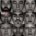 Bad Religion The Gray Race (CD) Album