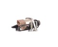 RIDEX 3996P0003 Druckregelventil Common-Rail-System für OPEL ZAFIRA B (A05)