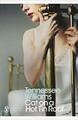 Cat on a Hot Tin Roof (Penguin Modern Classics by Williams, Tennessee 0141190280