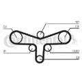 Original CONTINENTAL CTAM Wasserpumpe + Zahnriemensatz CT920WP4 für Audi Skoda