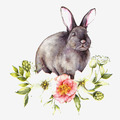 5 Servietten  Kaninchen Hase Blüten