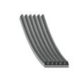 Keilrippenriemen FEBI BILSTEIN 28909 für AUDI CITROËN MERCEDES-BENZ SEAT VW