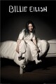 Laminiertes Billie Eilish (Wenn wir alle einschlafen, wohin gehen wir) Maxi Poster