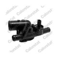 1x Thermostat, Kühlmittel CALORSTAT by Vernet TH7069.89J passend für NISSAN