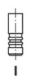 FRECCIA R6784/SNT Einlassventil für NISSAN,OPEL,RENAULT,VAUXHALL