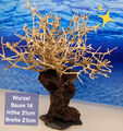 Aquarium Wurzel Bonsai Baum auf Schieferplatte