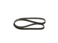 BOSCH Keilrippenriemen  u.a. für BMW, CITROËN, DS, FIAT, MITSUBISHI, NISSAN