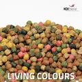 Koifutter 10 Sorten Mix 2,5 - 15 kg Living Colours 3 mm 6 mm Spirulina Teich