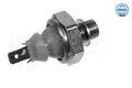 MEYLE 100 919 0025 Öldruckschalter für AUDI SEAT VW