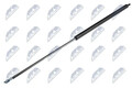 Kofferraum-Gasfeder beidseitig AE-AU-006 NTY für AUDI CABRIOLET B3 80 B4 Avant