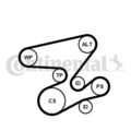 CONTINENTAL CTAM 6PK2080K1 Keilrippenriemensatz für BMW
