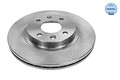 MEYLE 16-15 521 0036 Bremsscheibe für DACIA LADA  passend für NISSAN RENAULT