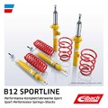 Fahrwerkssatz Federn/Dämpfer EIBACH B12 Sportline E95-85-003-03-22 für VW 1H1 3