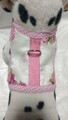 Softgeschirr  Brustgeschirr Hundegeschirr Blumenmuster Halsband XS-M Welpen rosa
