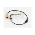 1x Sensor, Abgastemperatur HITACHI 137007 passend für AUDI SEAT SKODA VW