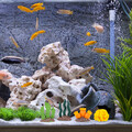  8 Pcs Bunte Korallenschmuck Künstliches Riff Für Aquarien Aquariumdekorationen